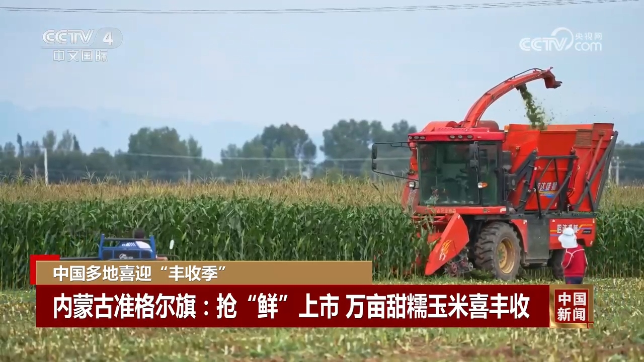 丰”景 中国多地喜迎“丰收季”OG真人游戏金秋时节处处好“(图6)