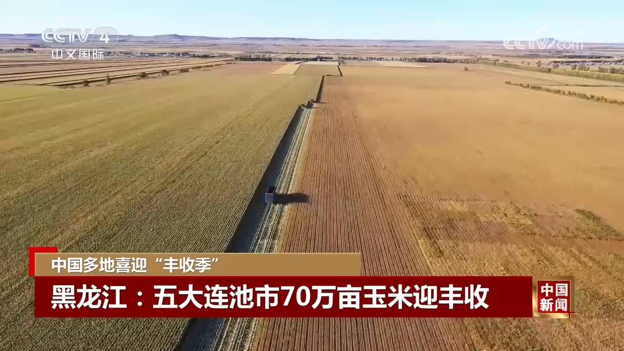 丰”景 中国多地喜迎“丰收季”OG真人游戏金秋时节处处好“(图3)