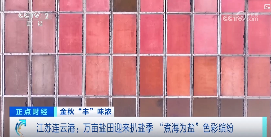 丰”景 中国多地喜迎“丰收季”OG真人游戏金秋时节处处好“(图7)