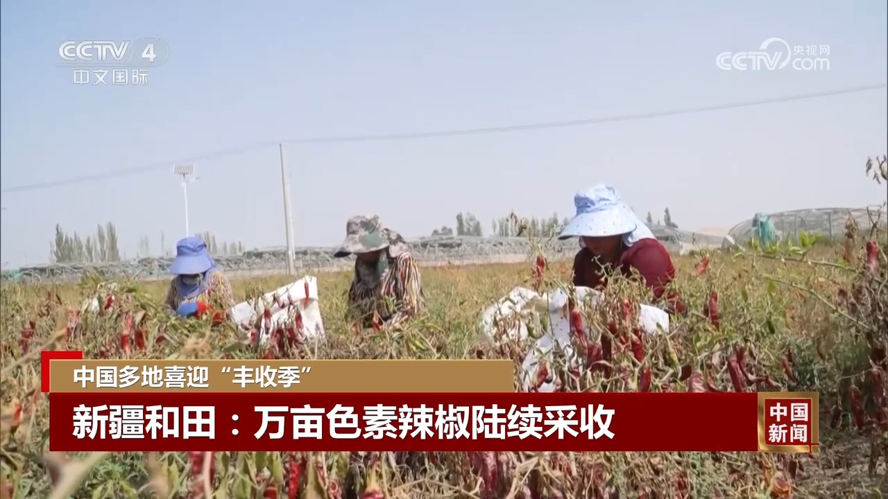 丰”景 中国多地喜迎“丰收季”OG真人游戏金秋时节处处好“(图4)
