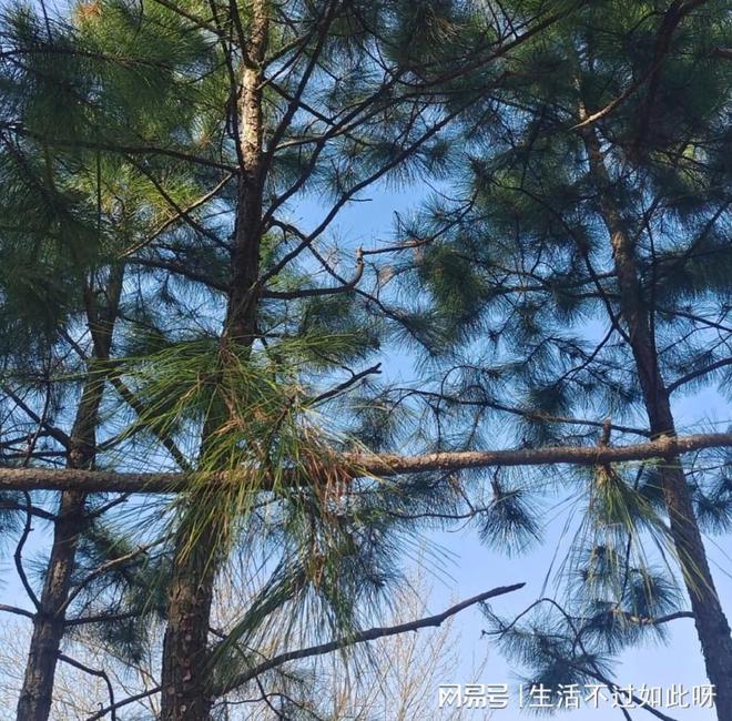 已经变抑郁家长不重视影响孩子一生OG网站出现十种异常行为说明孩子(图1)