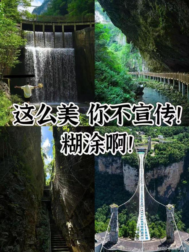 攻略三日游精华路线全解锁！OG网站封神！张家界自由行(图2)