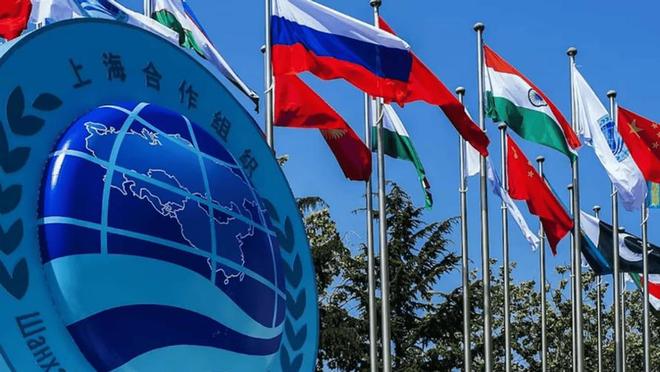 度得到真正的实惠莫迪发文感谢中国OG真人全员赞成天津宣言通过印(图1)